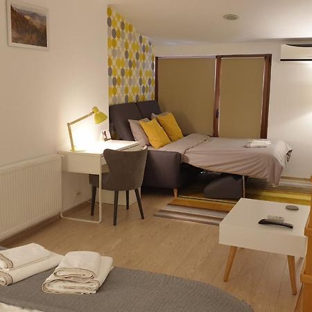 Вілла Fagaras Cosy Flat Екстер'єр фото