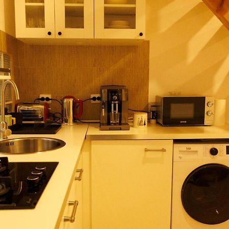 Вілла Fagaras Cosy Flat Екстер'єр фото