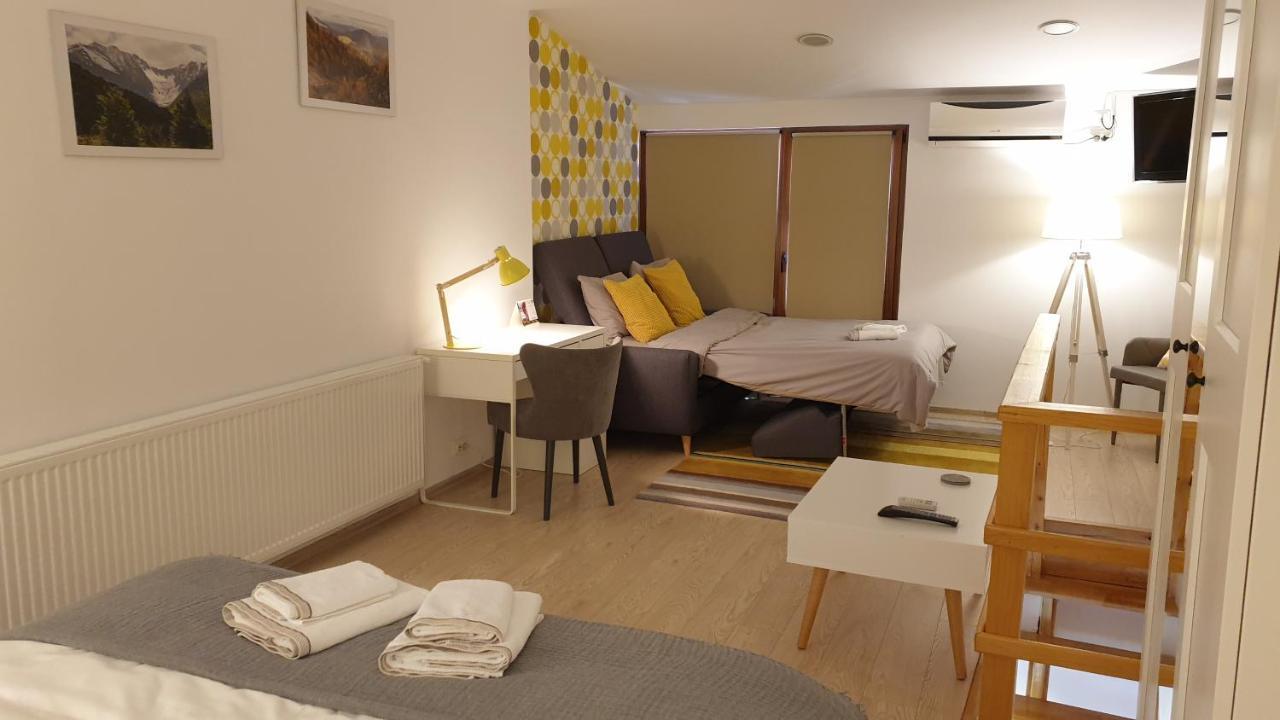 Вілла Fagaras Cosy Flat Екстер'єр фото