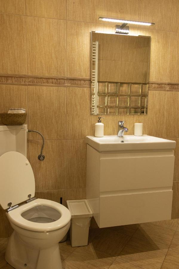 Вілла Fagaras Cosy Flat Екстер'єр фото