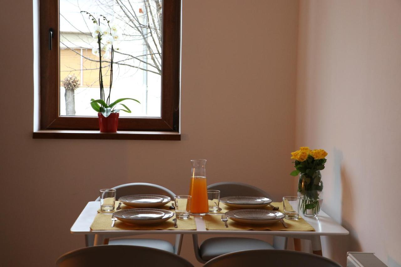 Вілла Fagaras Cosy Flat Екстер'єр фото