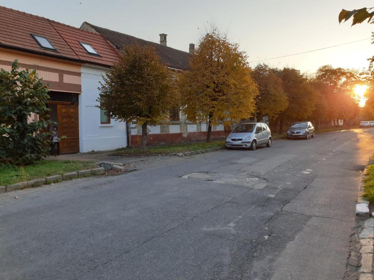 Вілла Fagaras Cosy Flat Екстер'єр фото